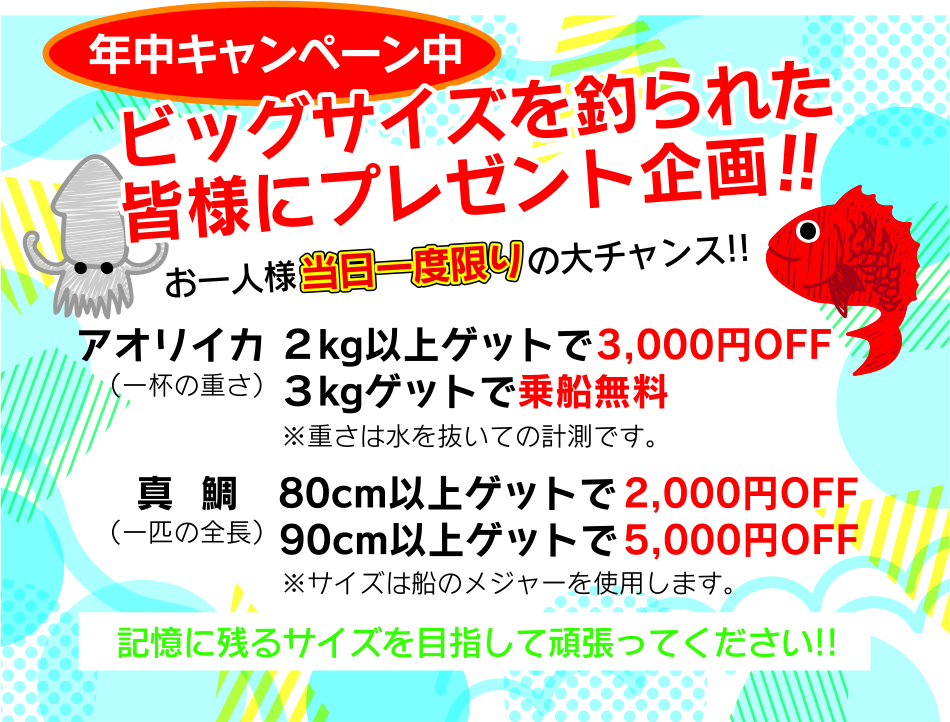キャンペーン告知